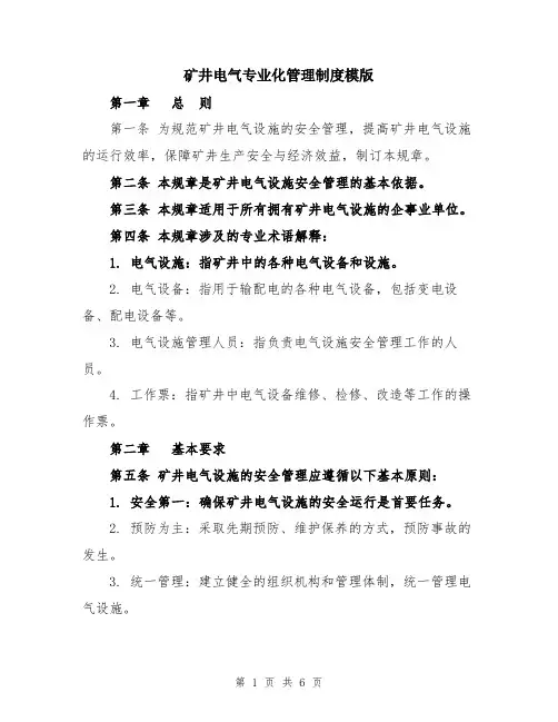 矿井电气专业化管理制度模版