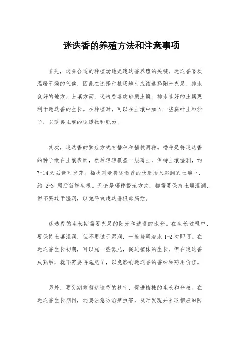 迷迭香的养殖方法和注意事项