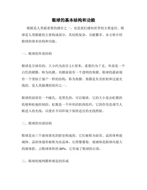 眼球的基本结构和功能