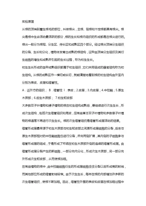 观察植物根的实验原理及结论