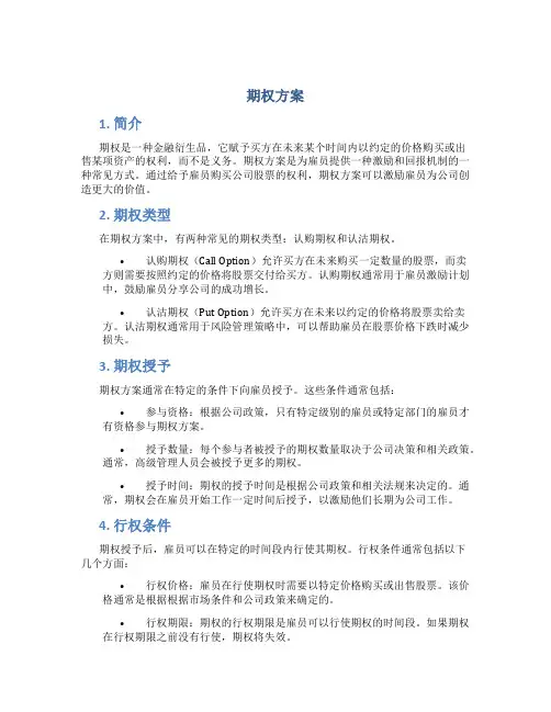 期权方案范文