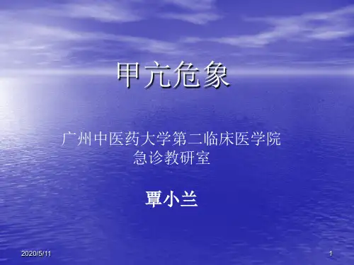 甲亢危象
