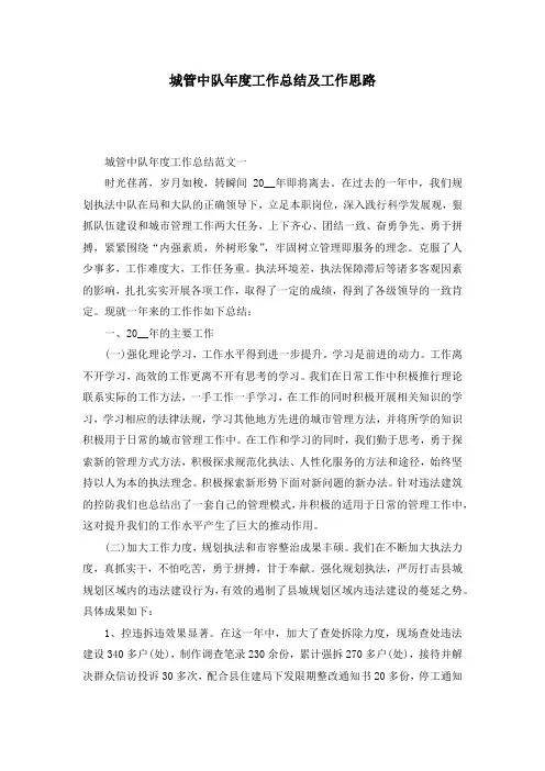 城管中队年度工作总结及工作思路