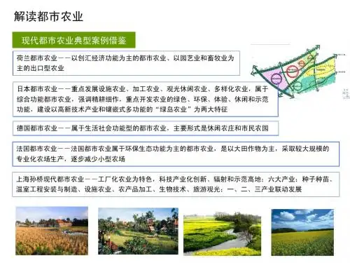 都市农业解读