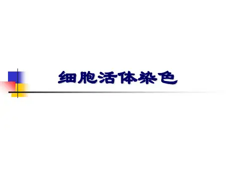 动植物细胞的活体染色
