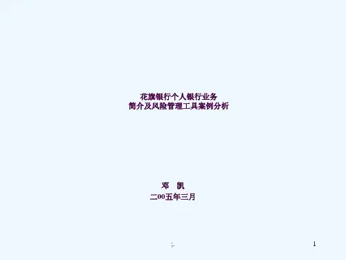 花旗银行个人银行业务简介及风险管理工具案例分析ppt课件