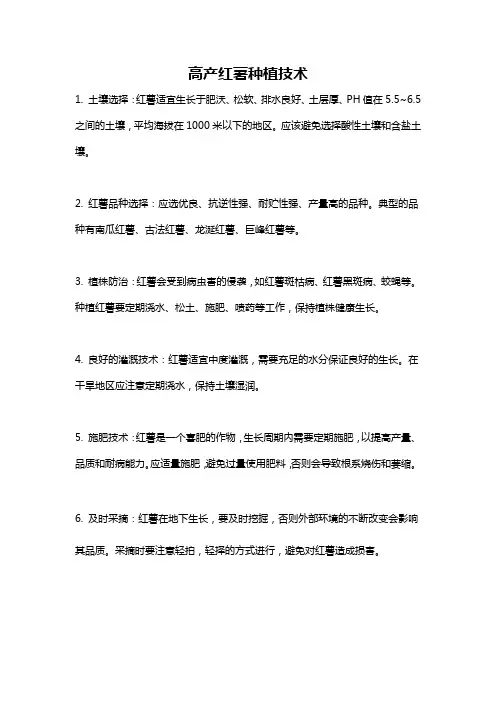 高产红薯种植技术
