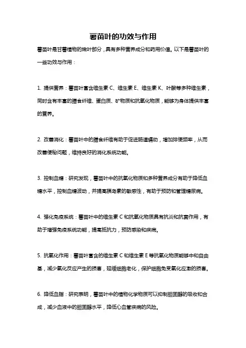薯苗叶的功效与作用