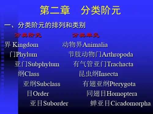 第二章  分类阶元,第三章特征分析