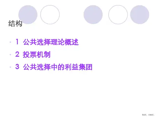 公共选择课件