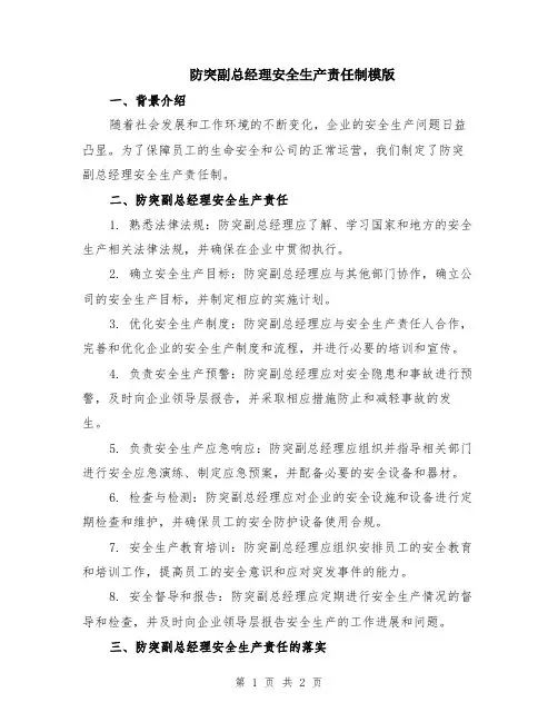 防突副总经理安全生产责任制模版