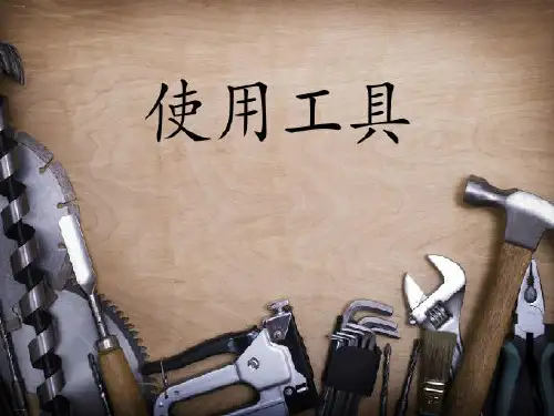 教科版《使用工具》精品教学课件5
