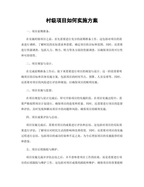 村级项目如何实施方案