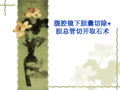 腹腔镜下胆囊切除胆总管切开取石术护理配合PPT课件
