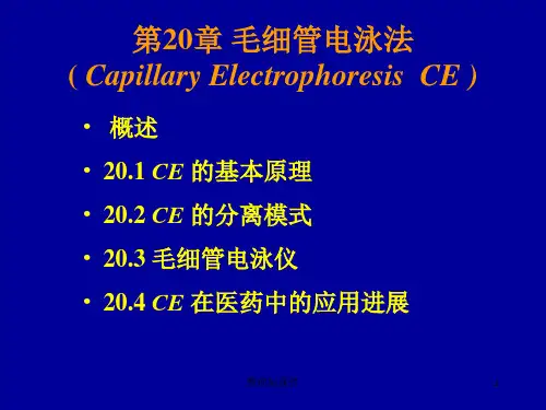 毛细管电泳ppt课件