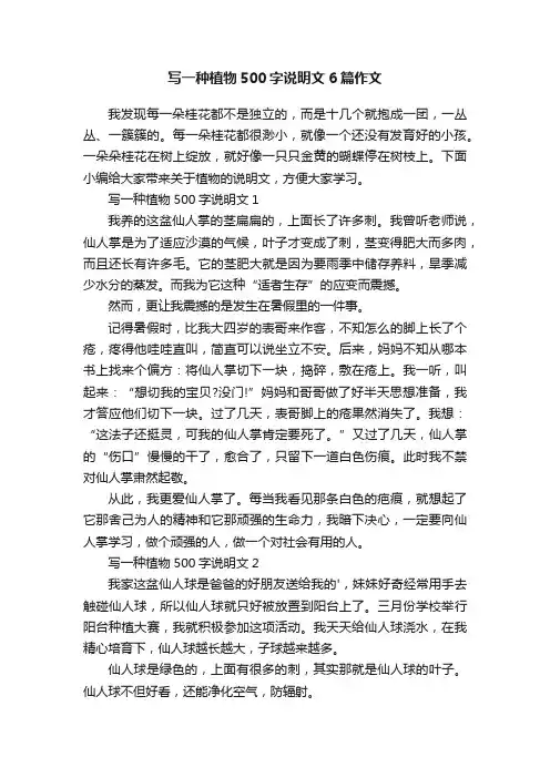 写一种植物500字说明文6篇作文