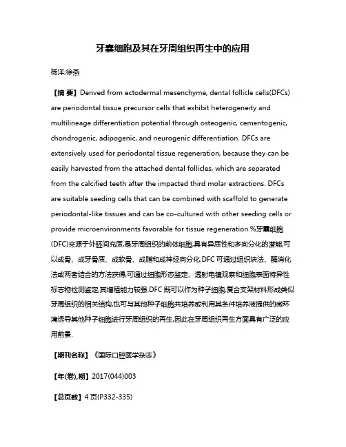 牙囊细胞及其在牙周组织再生中的应用