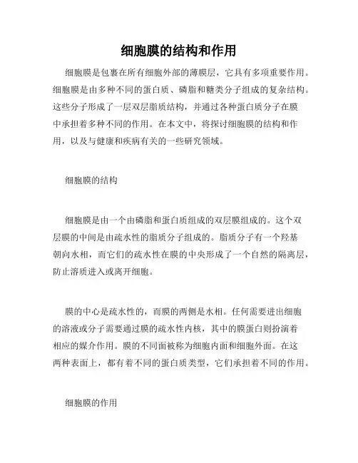 细胞膜的结构和作用