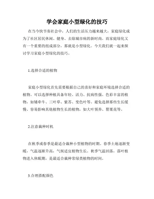 学会家庭小型绿化的技巧