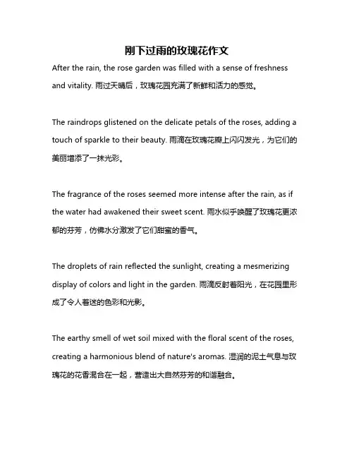 刚下过雨的玫瑰花作文