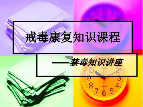 戒毒康复讲座【46页】