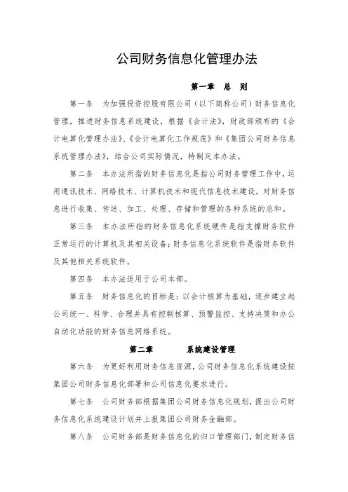 公司财务信息化管理办法