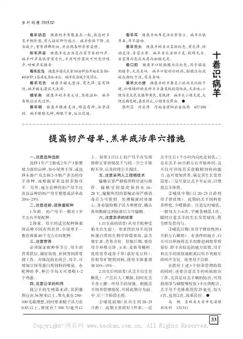 提高初产母羊、羔羊成活率六措施