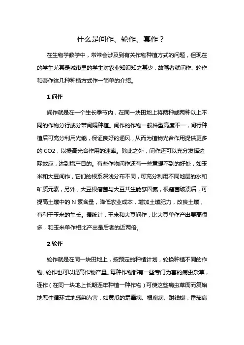 什么是间作、轮作、套作？