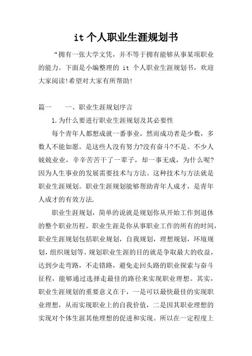 it个人职业生涯规划书