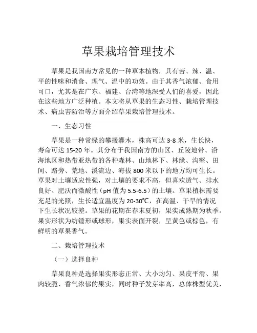 草果栽培管理技术