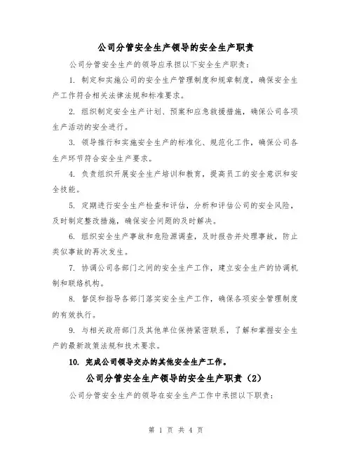 公司分管安全生产领导的安全生产职责（4篇）