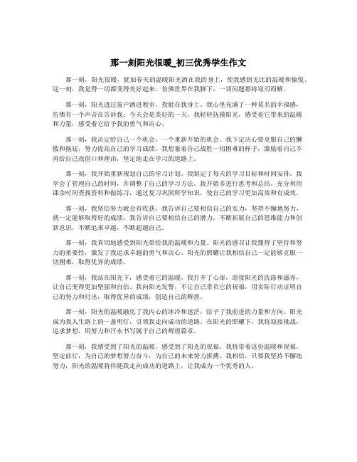 那一刻阳光很暖_初三优秀学生作文