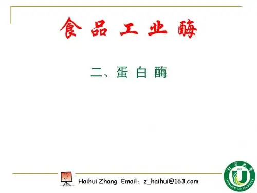6.2 蛋白酶