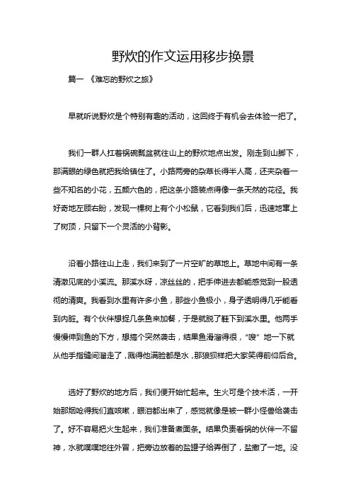 野炊的作文运用移步换景
