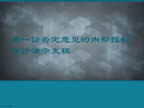 第一份否定意见的内部控制审计演示文稿
