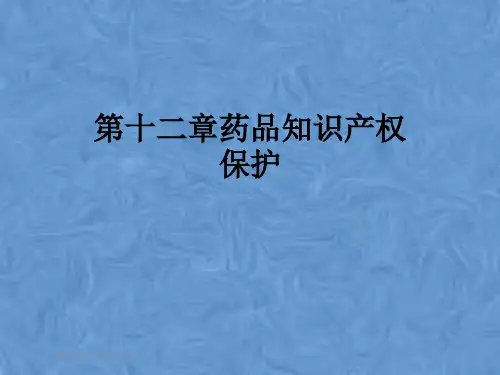 第十二章药品知识产权保护