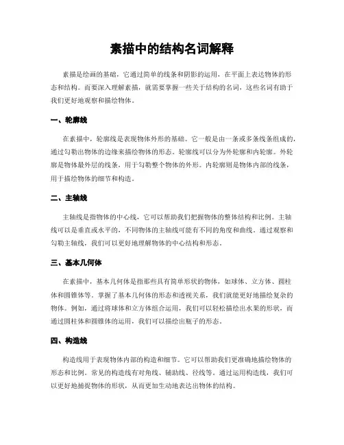 素描中的结构名词解释