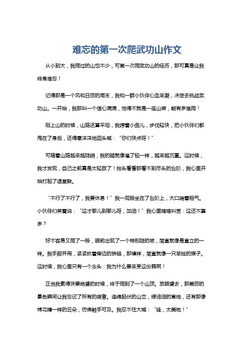 难忘的第一次爬武功山作文