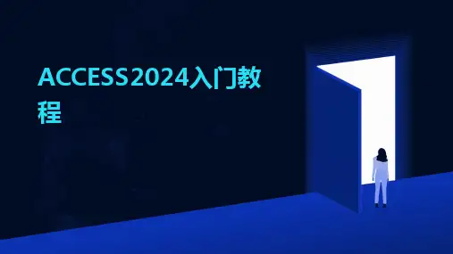 2024版ACCESS入门教程
