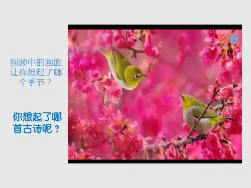 人音版一年级下册《春晓》完整版课件