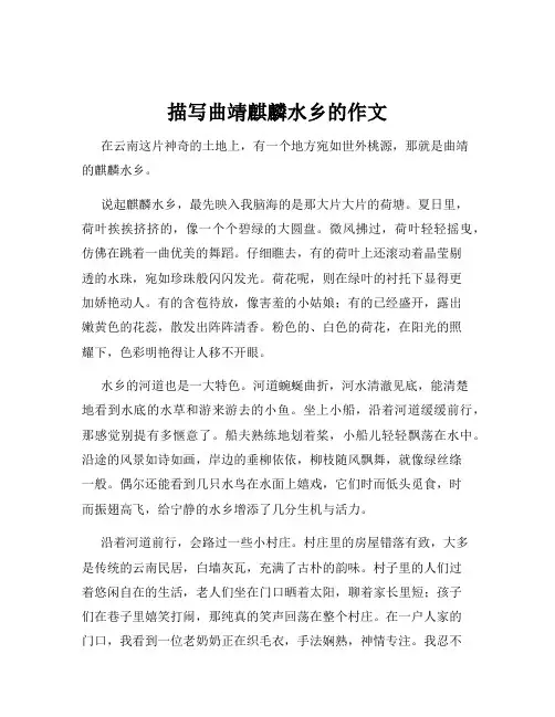 描写曲靖麒麟水乡的作文