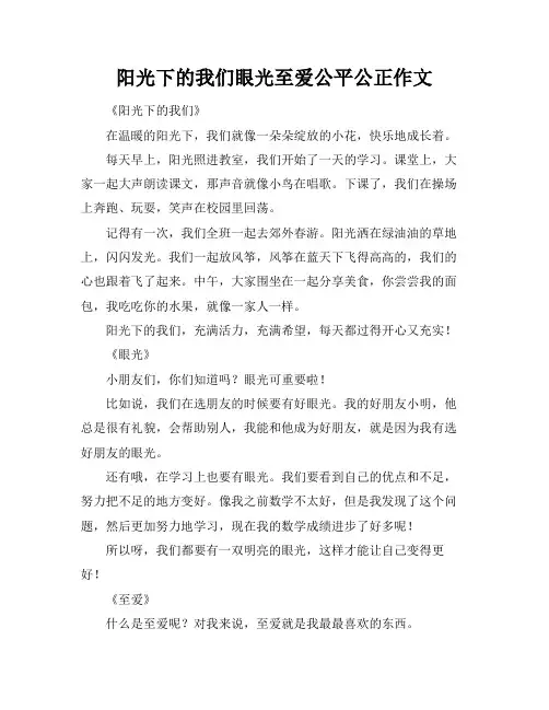阳光下的我们眼光至爱公平公正作文
