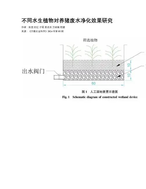不同水生植物对养猪废水净化效果研究