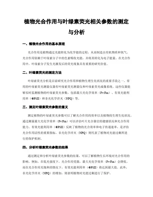 植物光合作用与叶绿素荧光相关参数的测定与分析