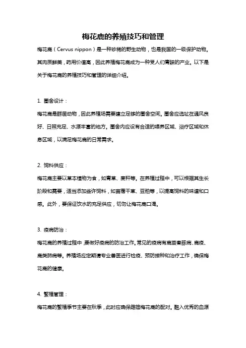 梅花鹿的养殖技巧和管理