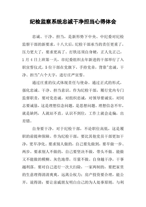 纪检监察系统忠诚干净担当心得体会