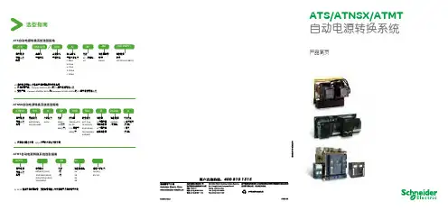 ATS、ATNSX、ATMT 产品简页 2009
