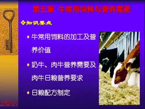 养牛学(第五章)讲解