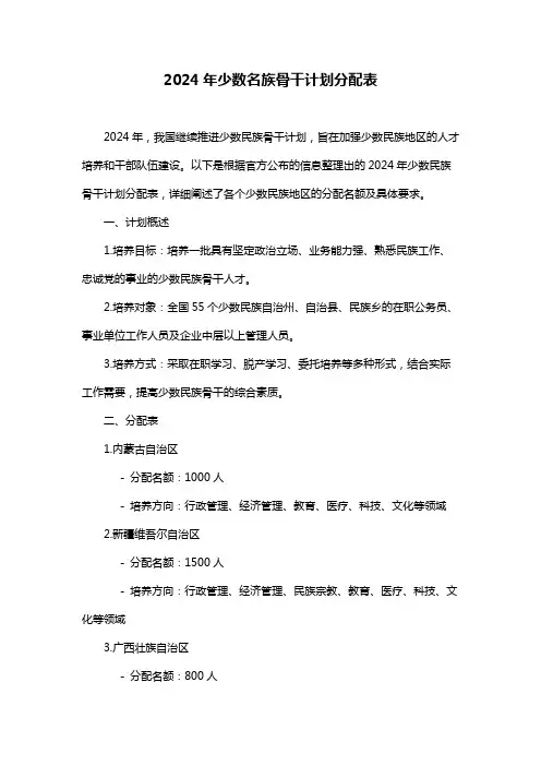 2024年少数名族骨干计划分配表