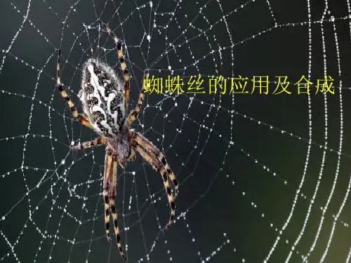 化学产品设计--蜘蛛丝的合成